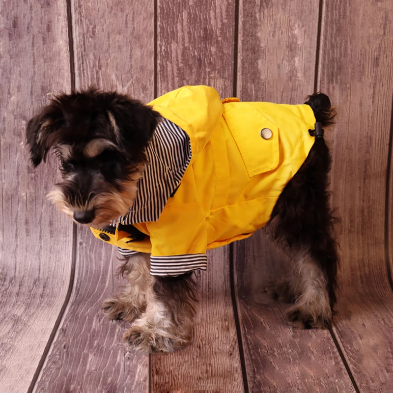 Capa de Chuva para Cães de Poliéster Impermeável para Inverno - Imagem 6