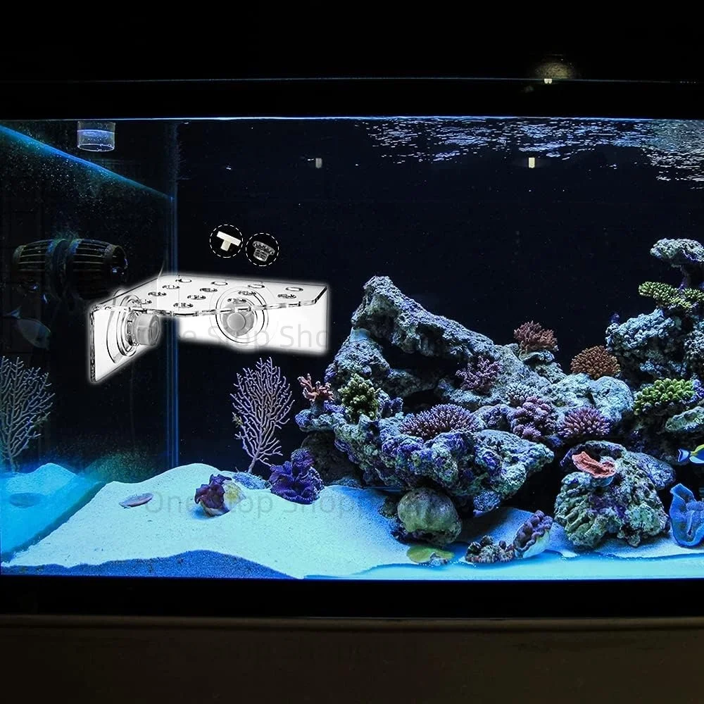 Suporte para Coral de Aquário em Acrílico com 8 a 32 Furos - Imagem 2