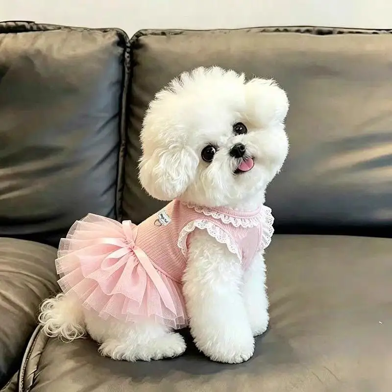 Saia de Tule para Cães de Poliéster Leve para Primavera Verão - Image 5