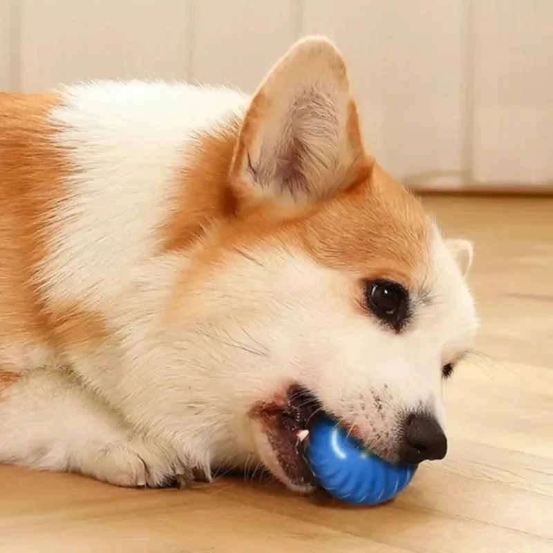 Bola Interativa para Cães Recarregável USB com Movimento Automático - Imagem 3