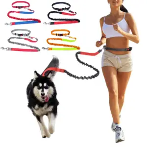 guia elástica de nylon para cães