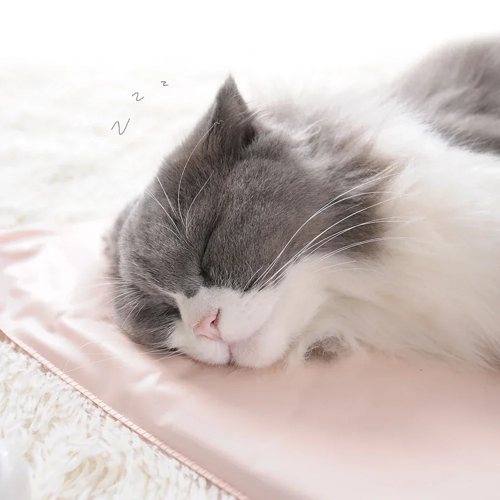 Almofada de Aquecimento para Cães e Gatos com Controle de Temperatura - Imagem 3