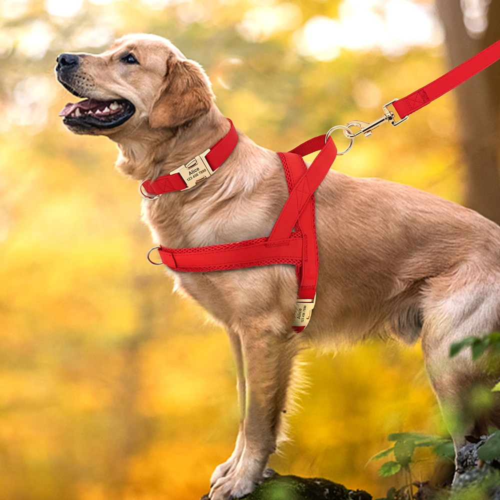 Coleira Peitoral Guia Cães Couro PU Malha com ID Personalizado - Imagem 4