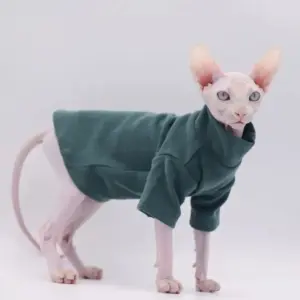 roupa de algodão para gato sphynx