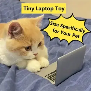brinquedo interativo para gato