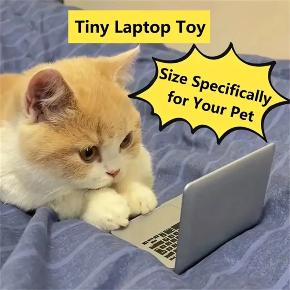 brinquedo interativo para gato