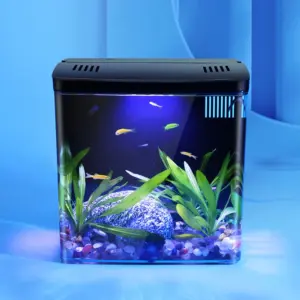 aquário para peixe betta com led