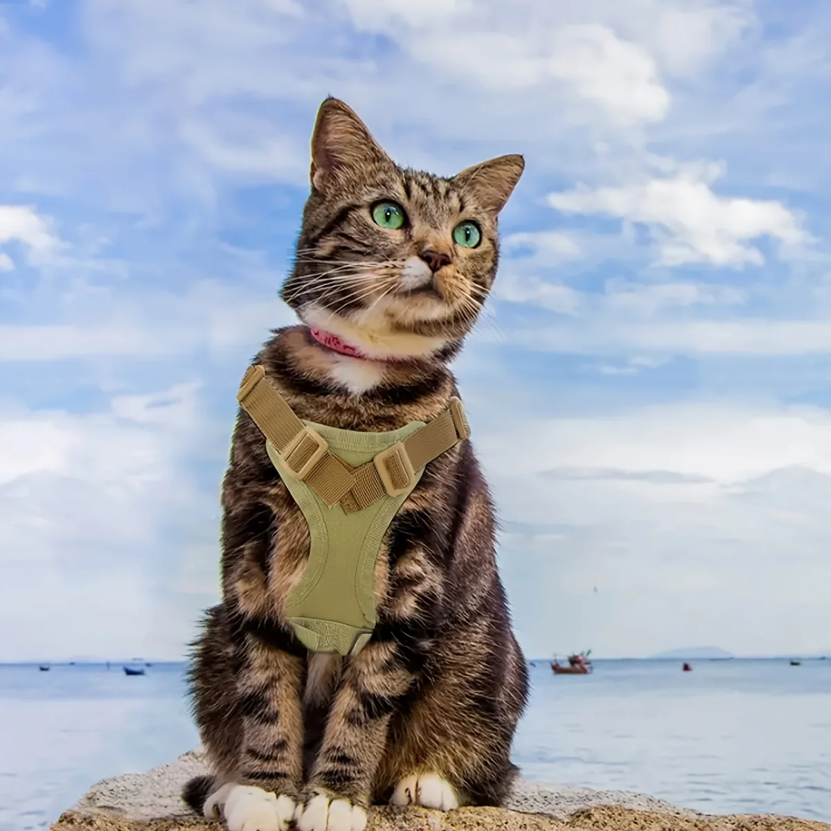 Coleira Peitoral Tática para Gatos Ajustável com Guia Anti-Fuga - Imagem 6