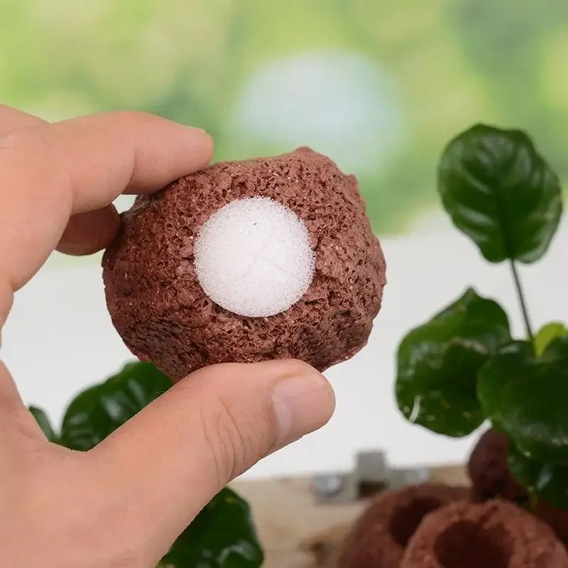 Anel de Cerâmica para Plantas de Aquário com Peso para Submergir - Imagem 4