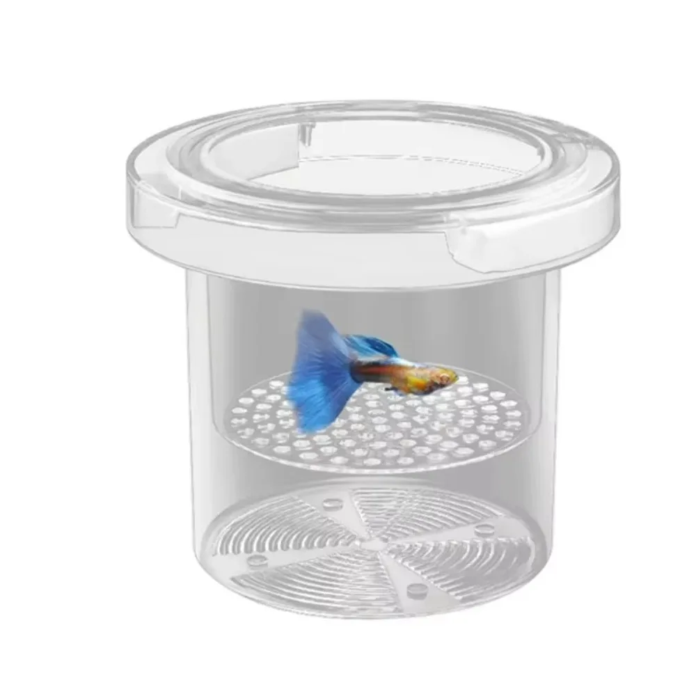 Caixa de Isolamento para Aquário Flutuante Acrílico Transparente - Imagem 4
