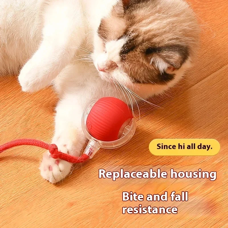 brinquedo bola rolante para gatos e cães