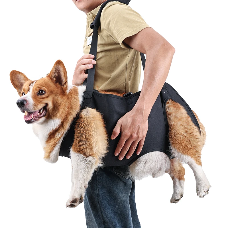 Arnês de Suporte para Cães de Tecido Oxford Ajustável - Imagem 3