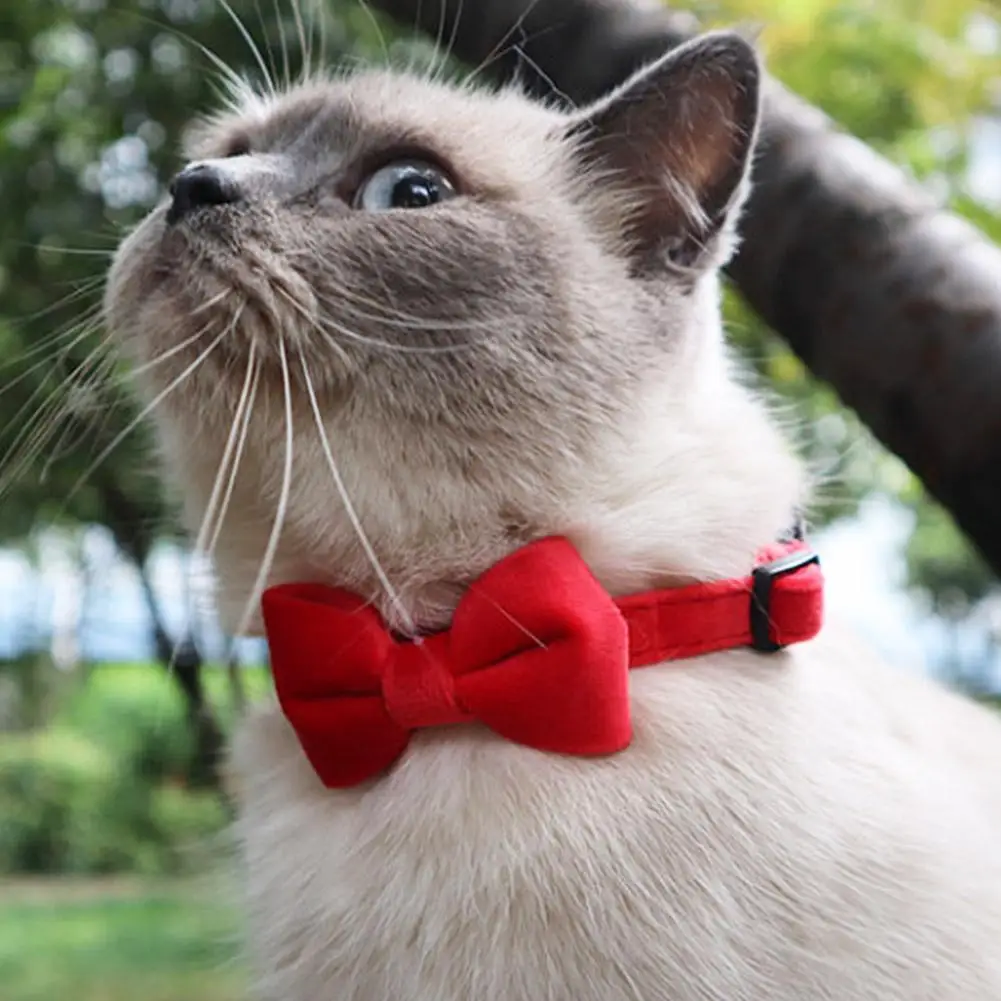 Coleira de Camurça para Gatos e Cães Pequenos Ajustável 18-32cm com Sino - Imagem 4