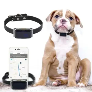 coleira gps para cães e gatos