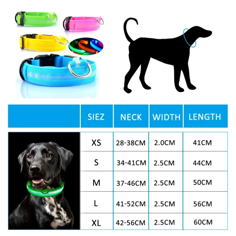 Coleira LED para Cães Recarregável USB e Anti-Perda - Imagem 6