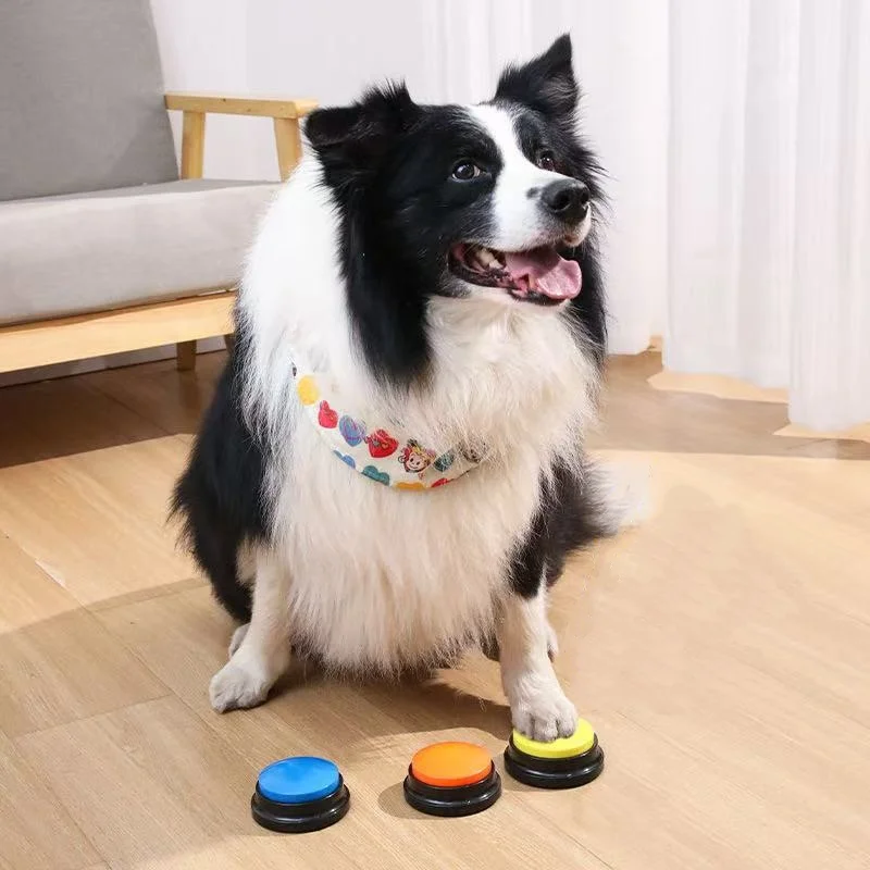 botão de comunicação para cães