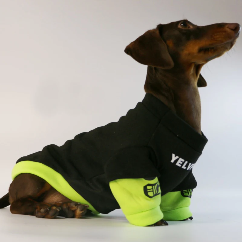 Roupa para Cães de Lã para Outono e Inverno - Imagem 4