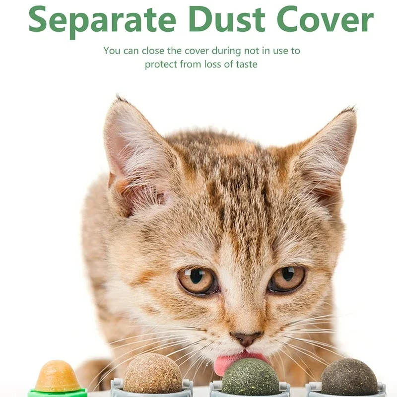 Brinquedo Bola de Videira para Gatos 4 em 1 de Material Comestível - Imagem 4