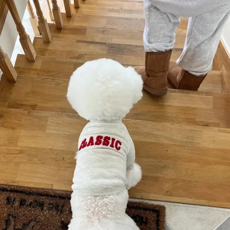 Moletom Pulôver para Cães Pequenos de Inverno Cinza Claro - Imagem 5