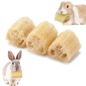 brinquedo de roer de bucha vegetal para coelhos