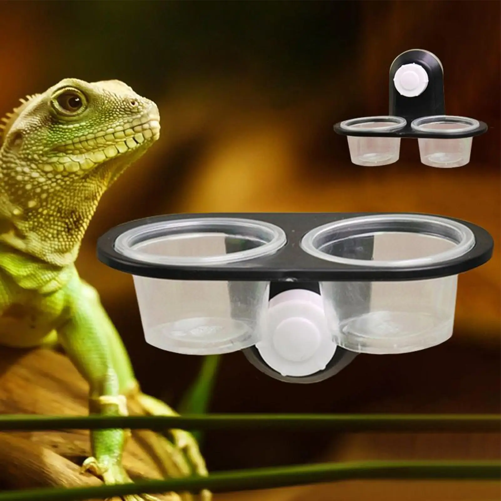 Dispensador de Água e Comida para Répteis com 4 Compartimentos - Imagem 3