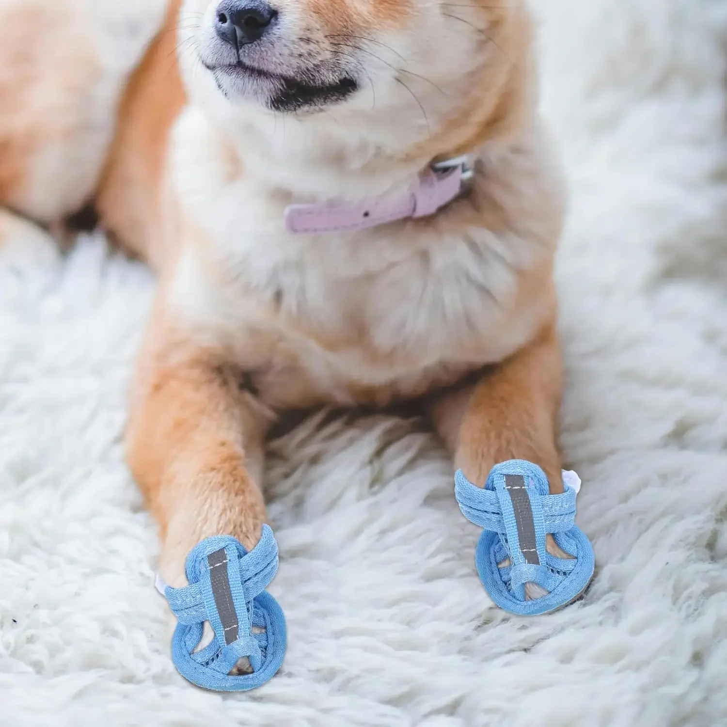 Sapatos de Verão para Cães com Sola Antiderrapante e Malha Respirável - Imagem 3