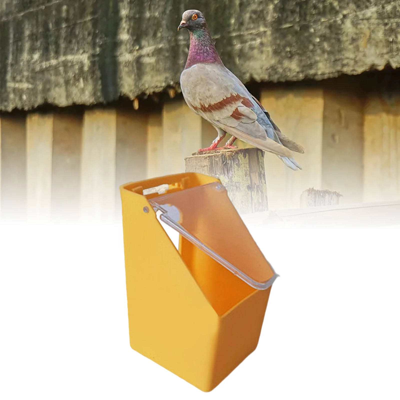 Alimentador para Pássaros com Tampa Transparente e Encaixe na Gaiola - Imagem 4