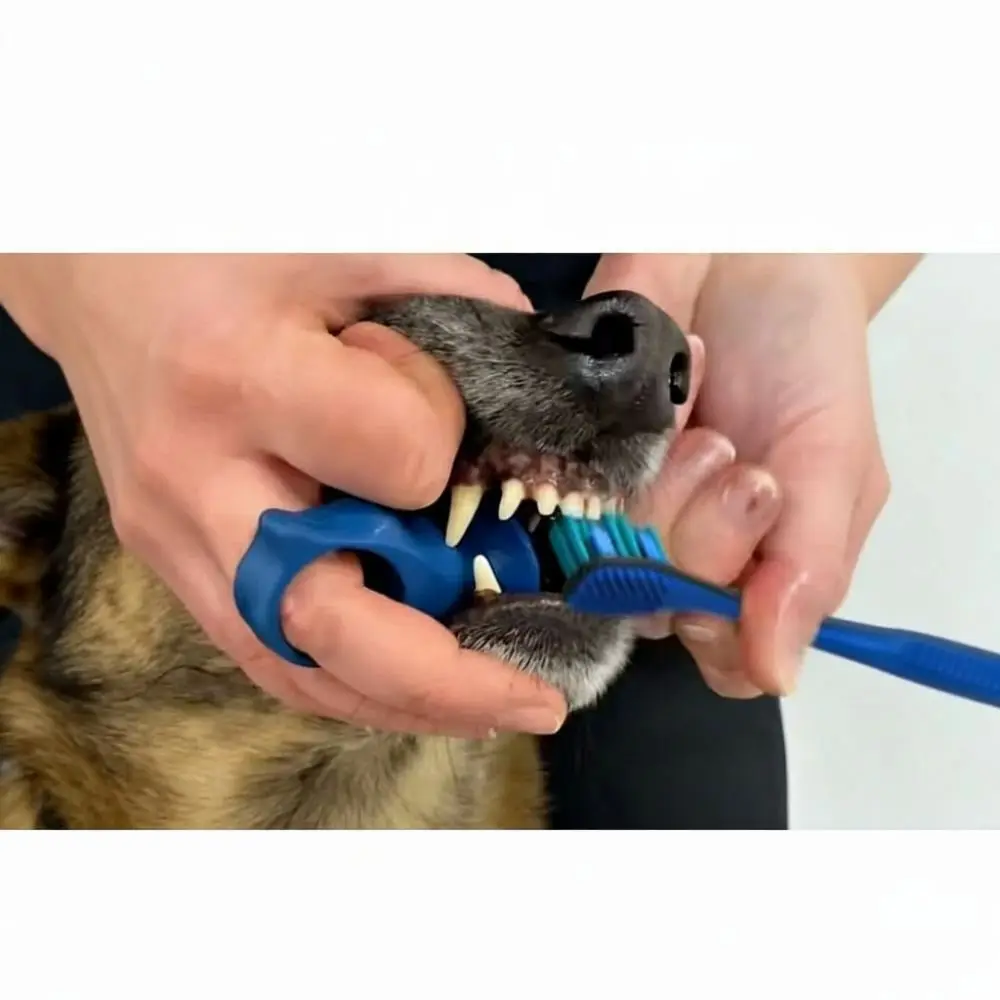 escova de silicone para dentes de pet