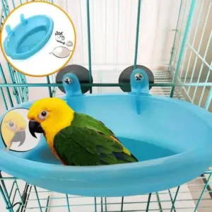 banheira espelhada para pássaros pequenos