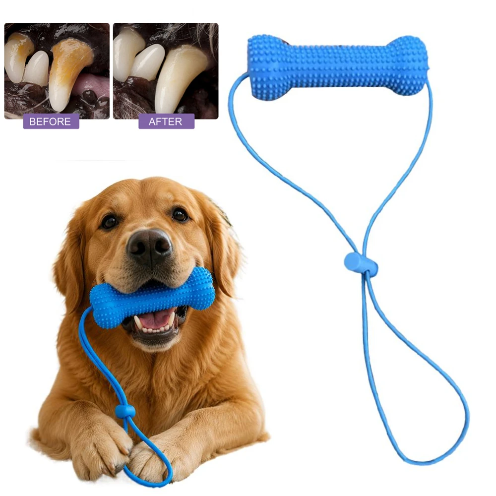 brinquedo de borracha para cães