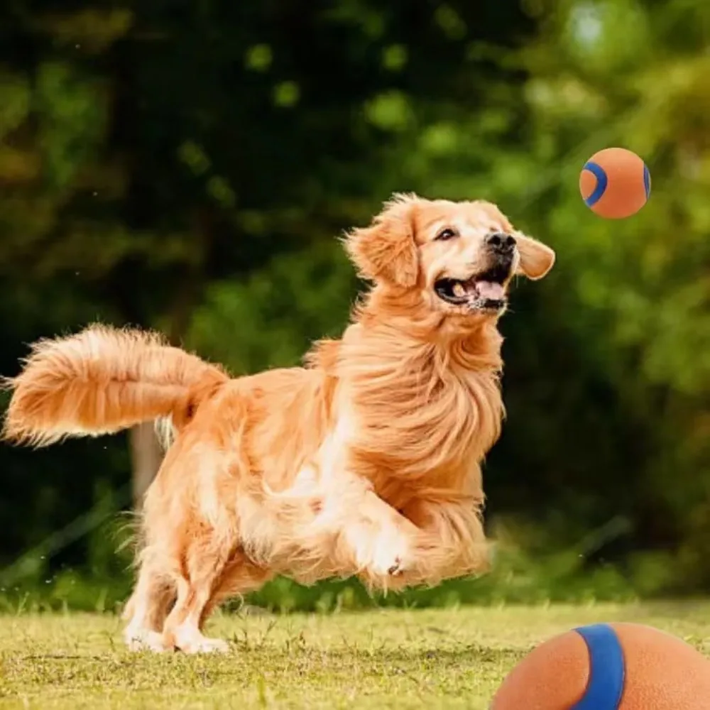 Bola de Brinquedo para Cães Elástica com Som para Grande, Médio e Pequeno - Imagem 2