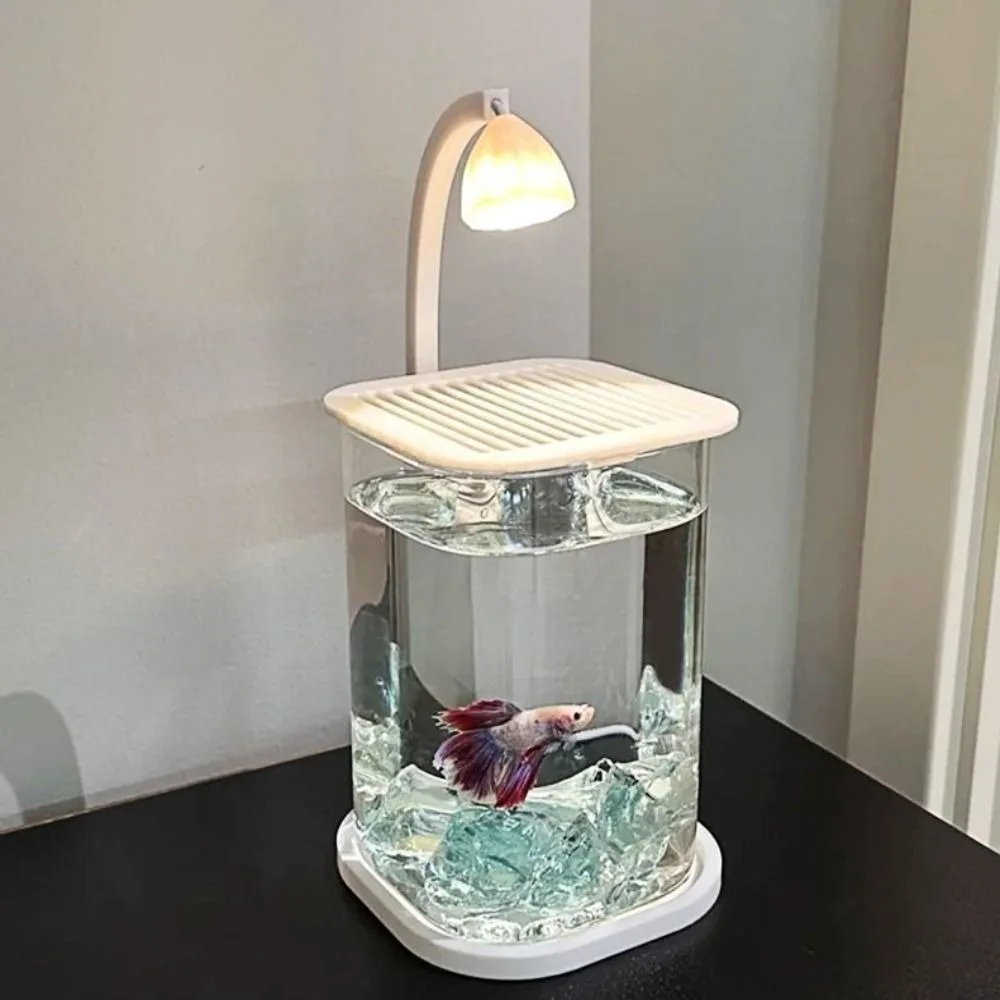 aquário de acrílico com luz led para peixe betta