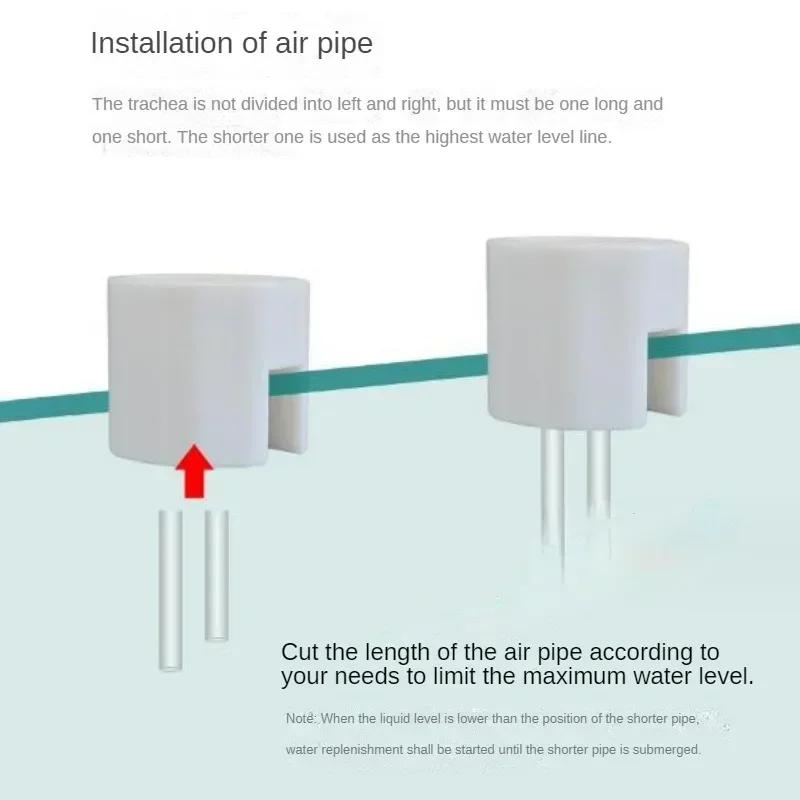 Reabastecedor de Água Automático para Aquário sem Energia - Imagem 4