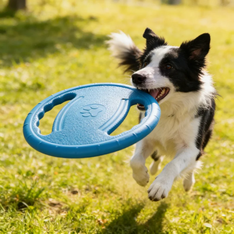 Brinquedo Disco Voador EVA para Cães de 20 cm - Imagem 2