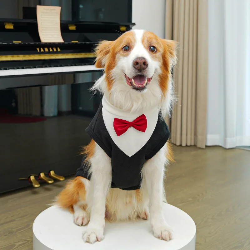 Terno para Cães e Gatos Pequenos com Gravata Borboleta - Image 5
