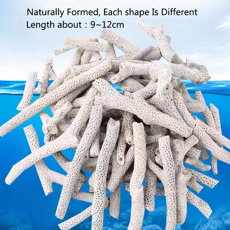 Material Filtrante para Aquário Osso de Coral Natural 140g - Imagem 5