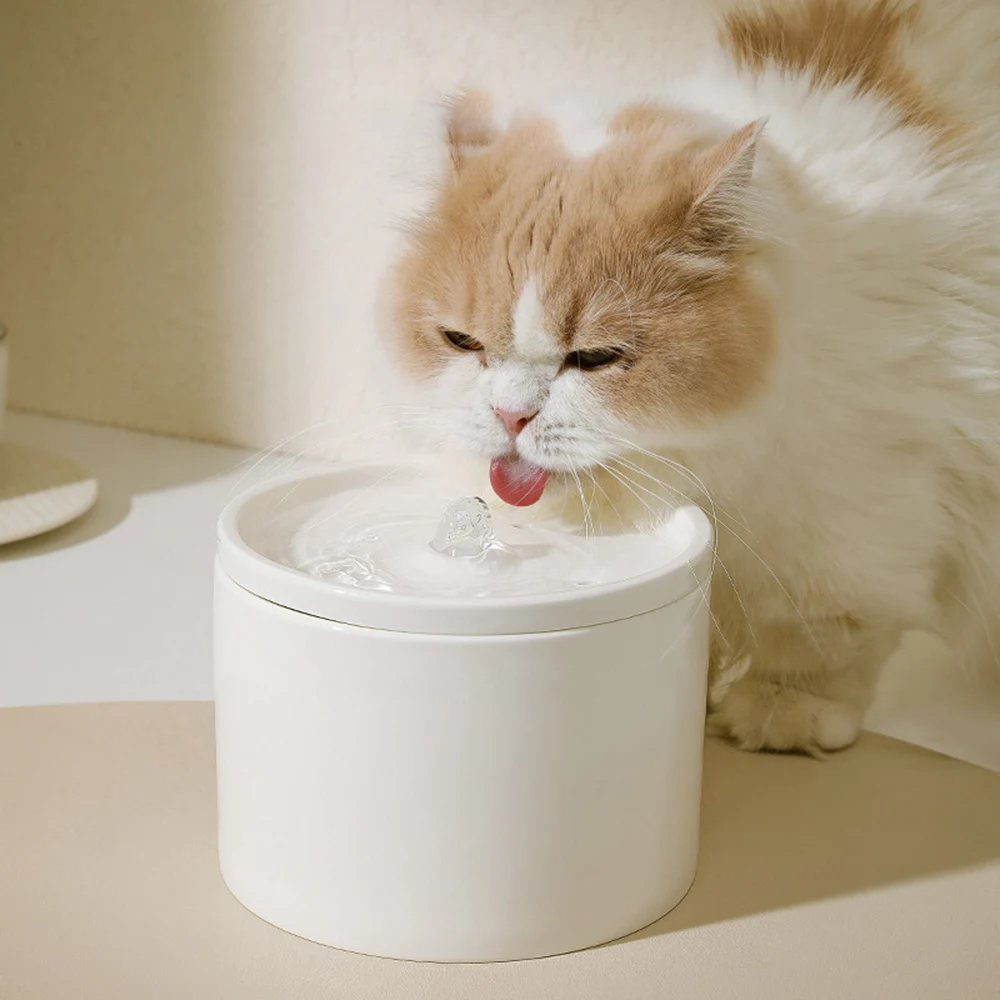 dispensador de água automático de cerâmica para pets