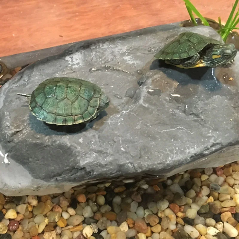 Plataforma de Resina para Tartarugas e Répteis 16x5,5x9 cm com Caverna - Imagem 5