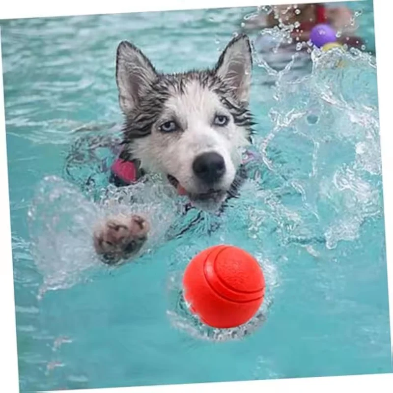 Bola de Borracha Elástica para Cães Sólida e Durável - Imagem 5