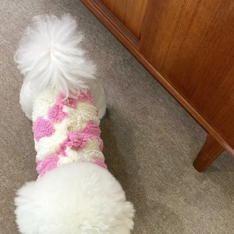 Casaco de Lã para Cães Pequenos e Médios Branco - Image 4