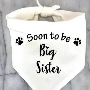 bandana para cães big sister bro dog