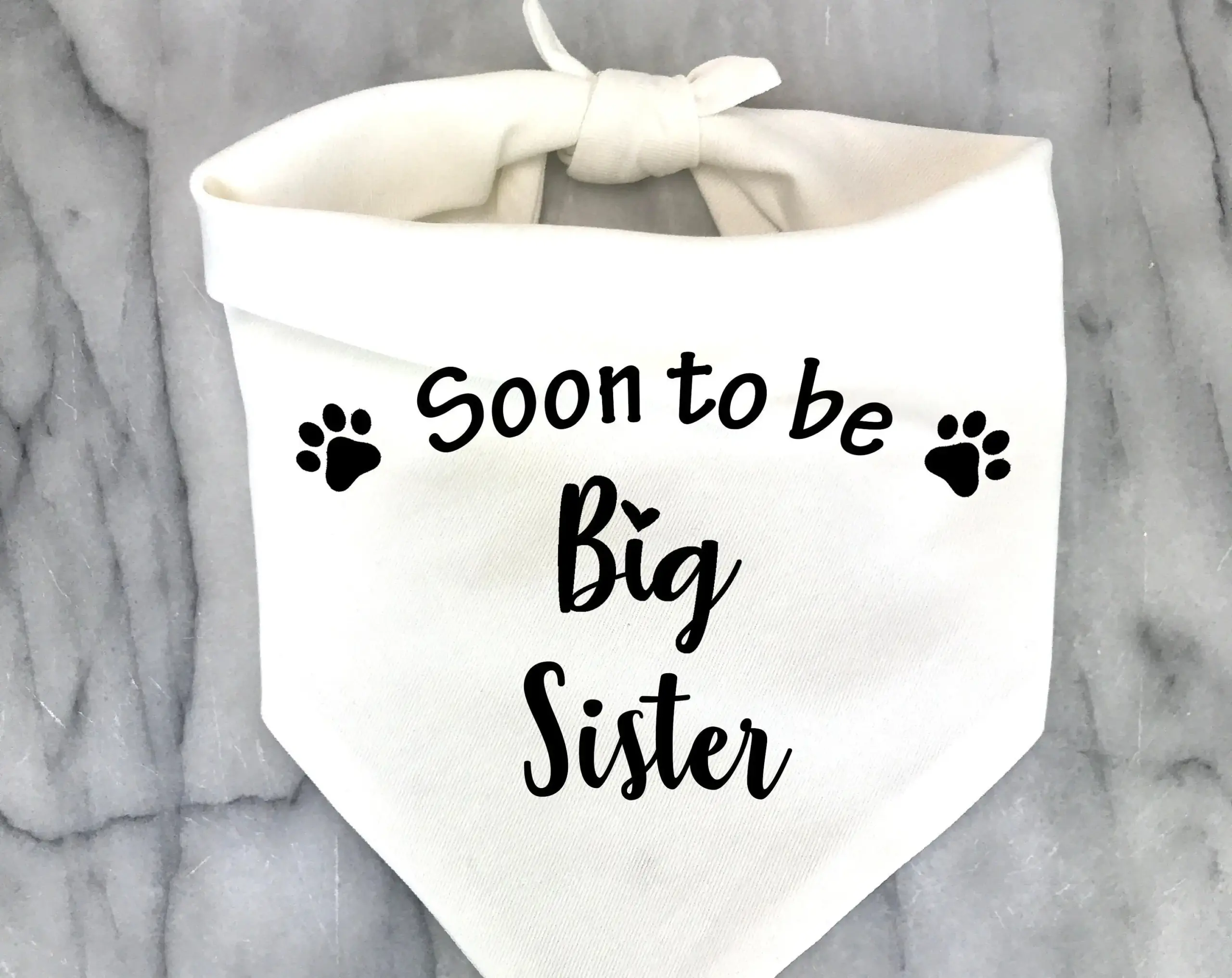 bandana para cães big sister bro dog