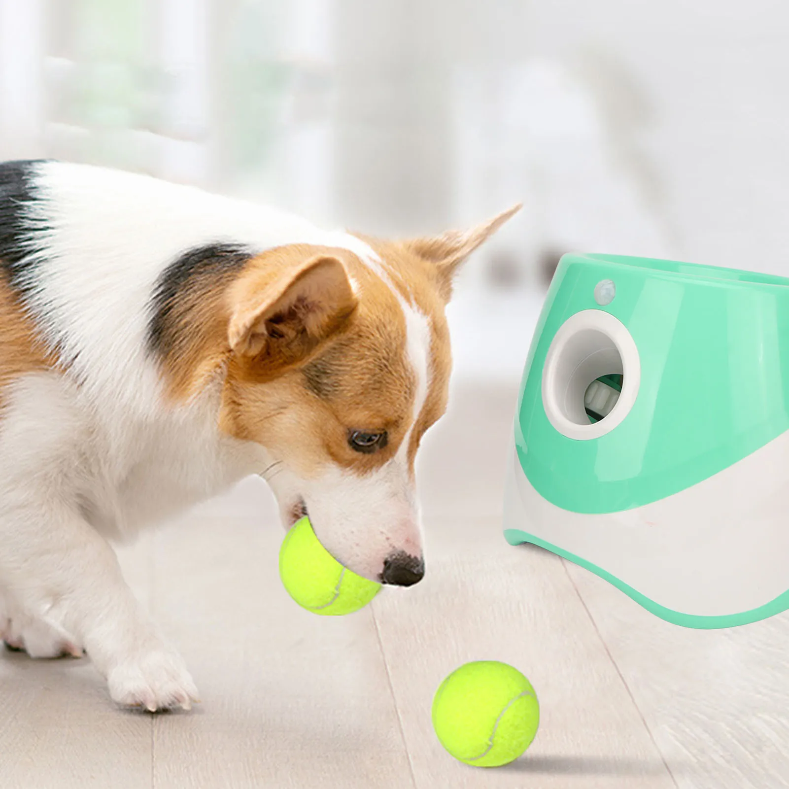 Lançador de Bola Automático para Cães 3 Modos Recarregável - Imagem 6