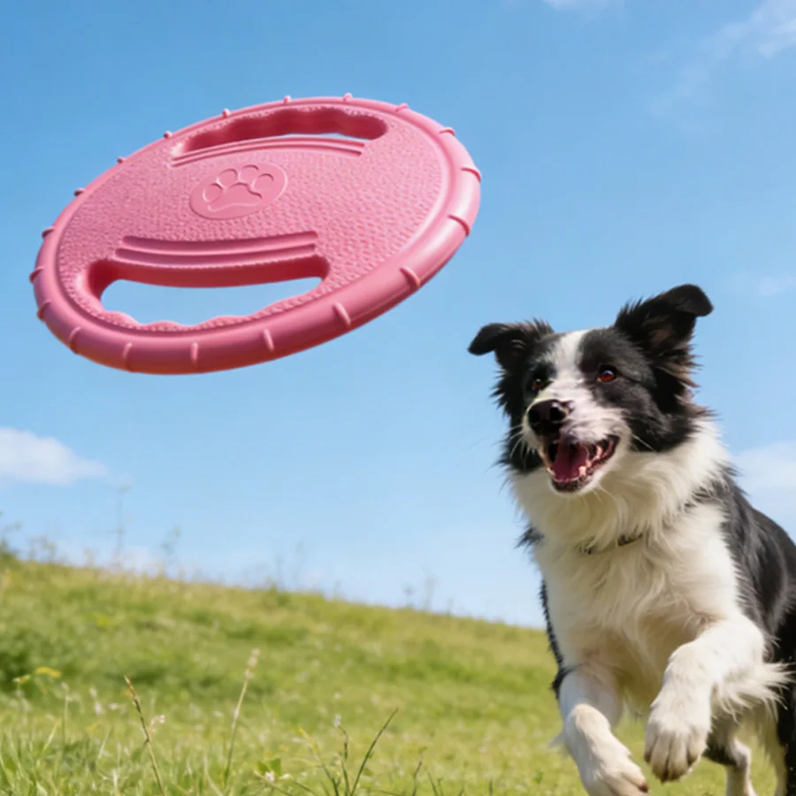 Brinquedo Disco Voador para Cães de Todos os Portes Resistente a Mordidas - Imagem 2