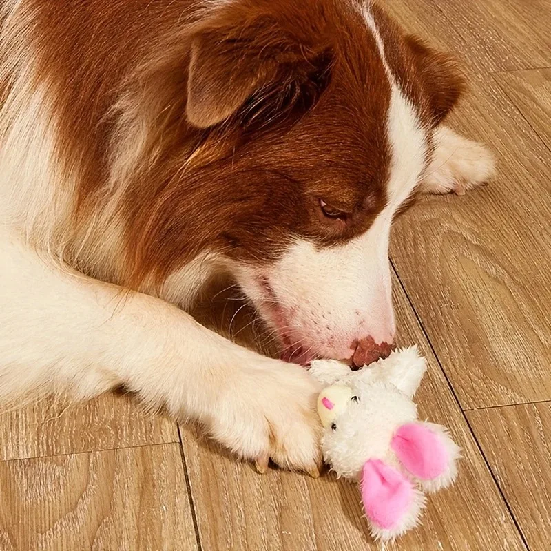 Brinquedo de Pelúcia Coelho para Cães Limpeza dos Dentes Interativo - Image 2