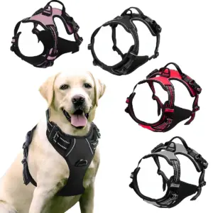 colete para cães com faixa refletora