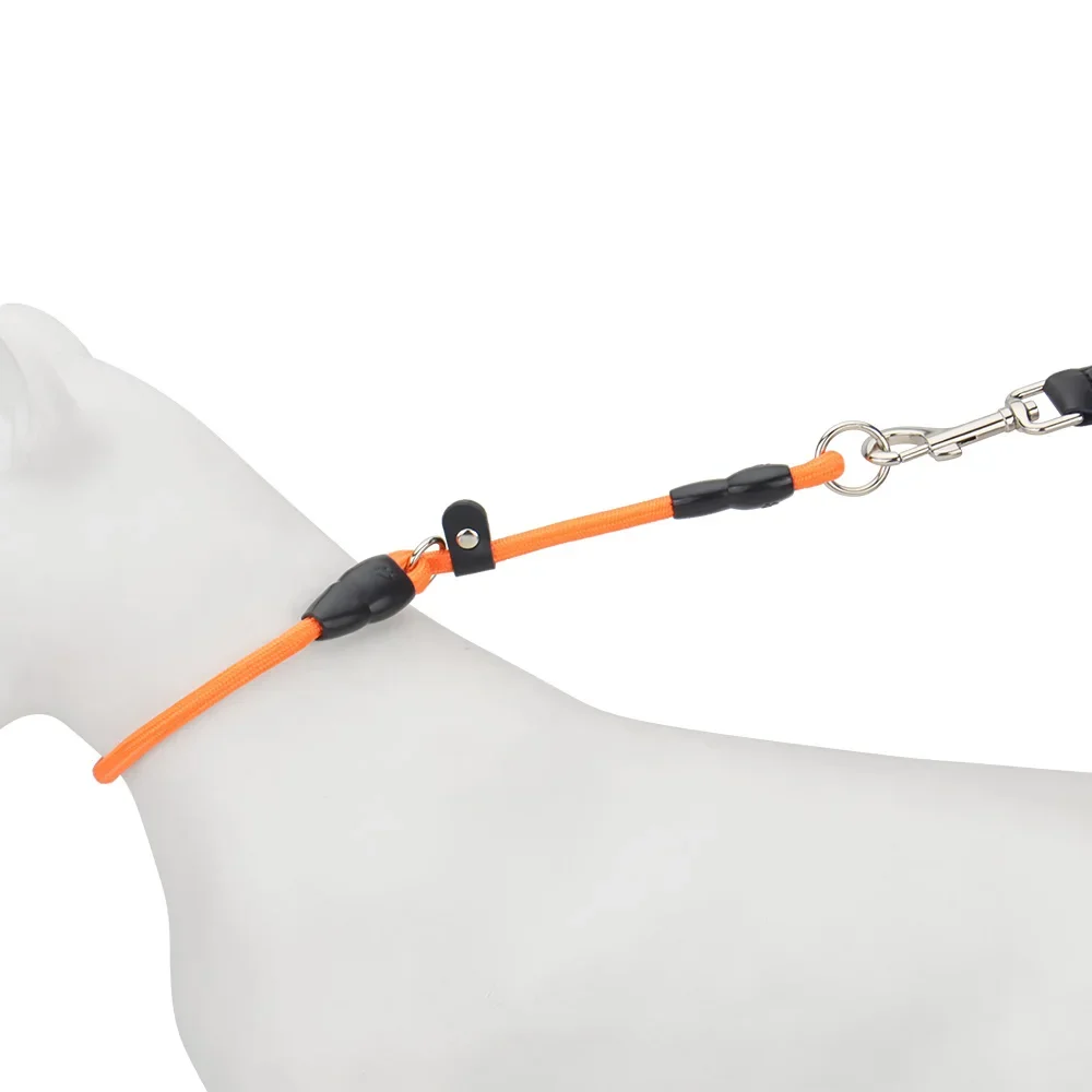 Coleira Deslizante para Cães de Nylon com Rolha Ajustável - Imagem 5