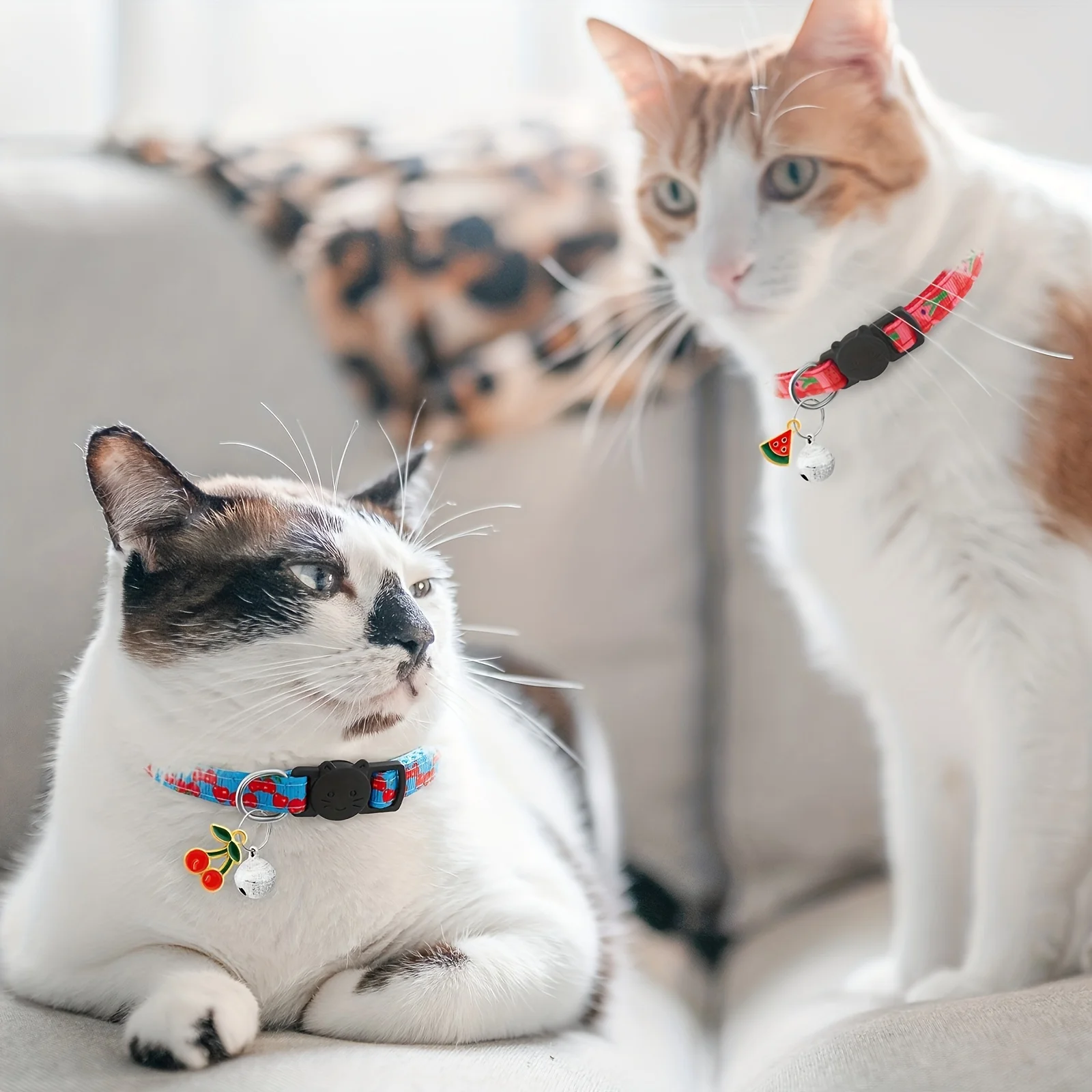 Coleira para Gatos com Estampa de Frutas 19-32 cm Ajustável Kit com 7 - Imagem 2