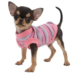 colete camisa canelada para cães pequenos