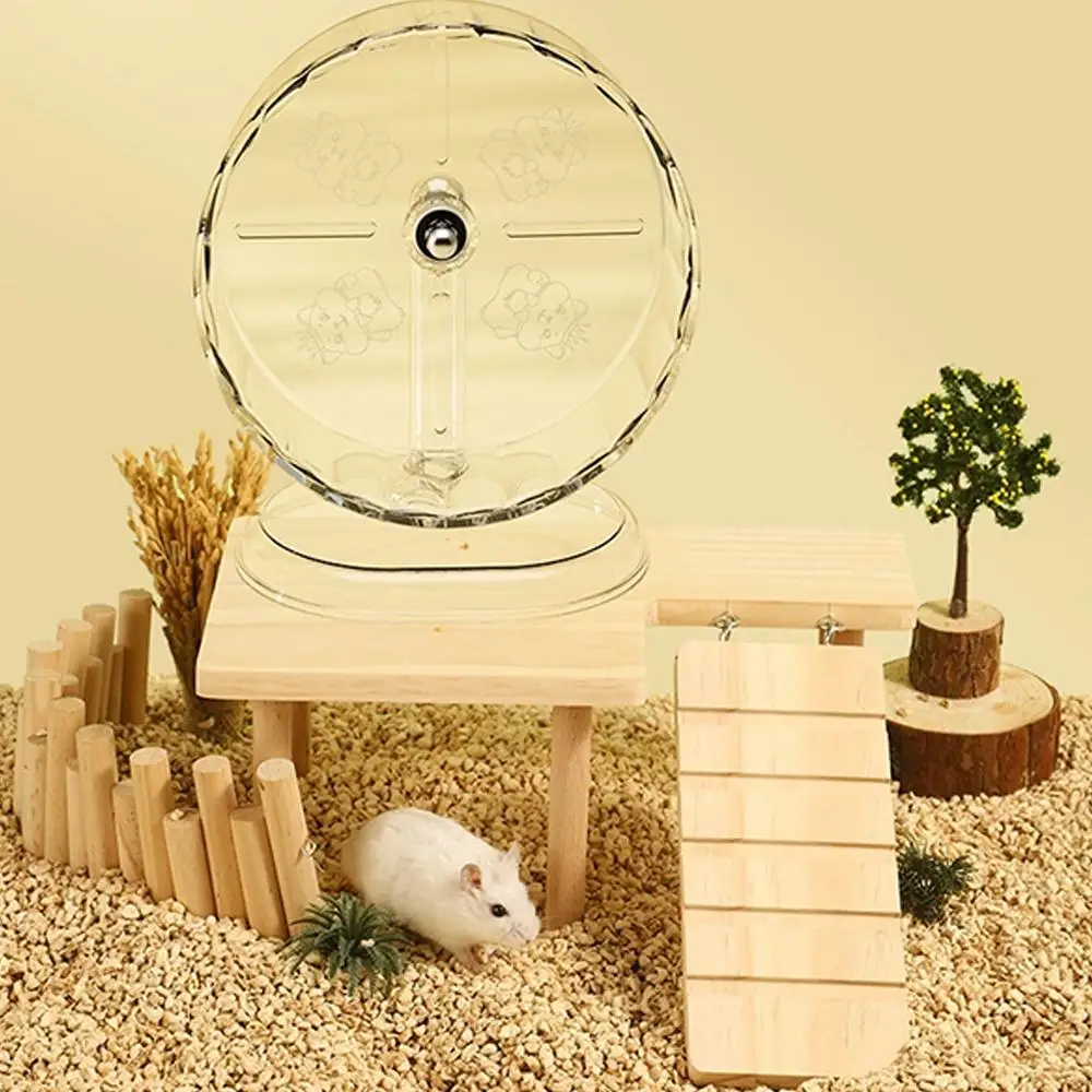 Roda de Exercício para Hamster Transparente 18 cm Silenciosa - Imagem 5